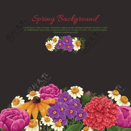 春季彩色花卉背景图片