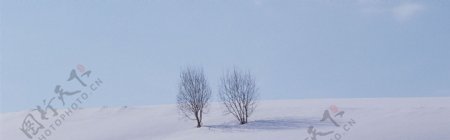 冬天雪景背景图片素材28