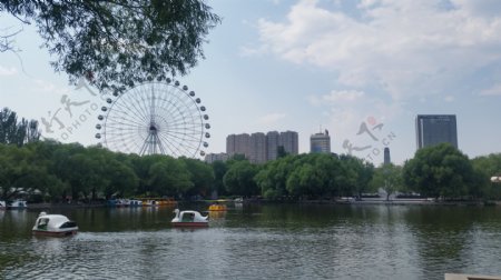 青城公园图片