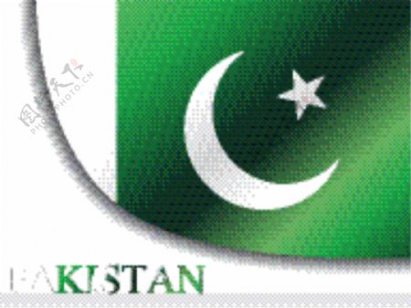 巴基斯坦国旗的插图