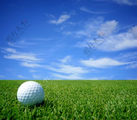 高尔夫球草地天空