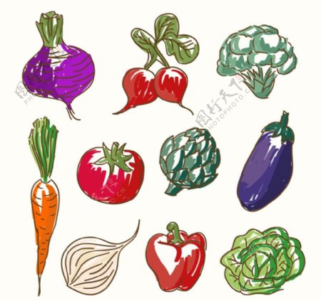 彩绘蔬菜矢量素材