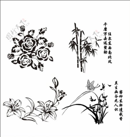 花卉黑白线描
