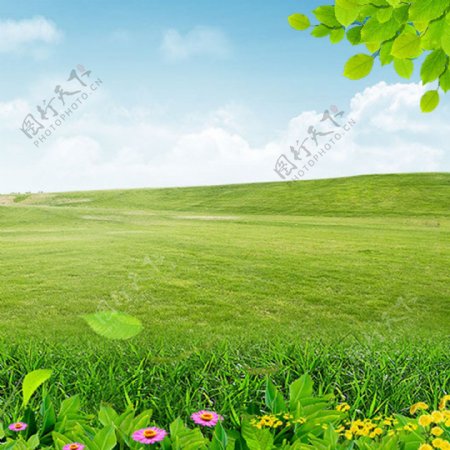 绿色清新草地背景