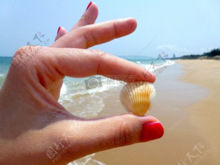 海滩边手拿贝壳
