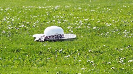 草原上的帽子