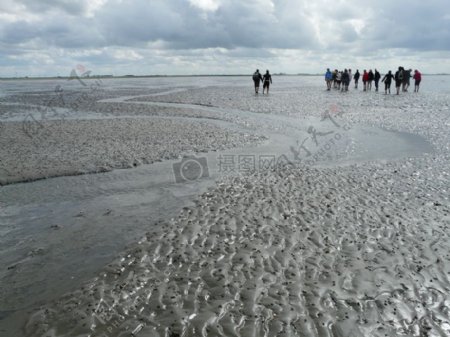 沿海滩涂旅行