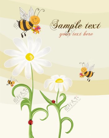花卉矢量插画的蜜蜂