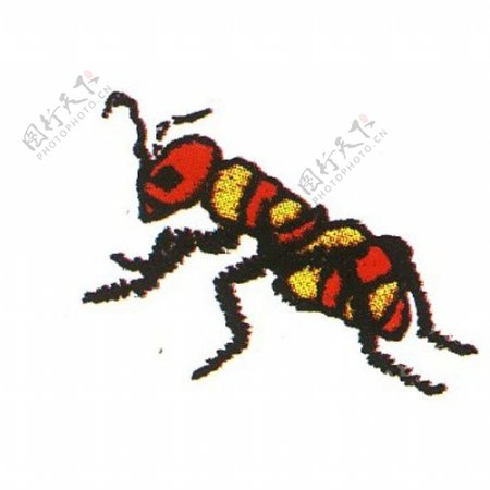 绣花动物昆虫色彩红色免费素材