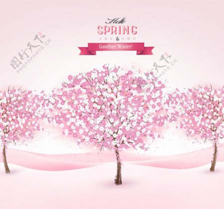 浪漫樱花树