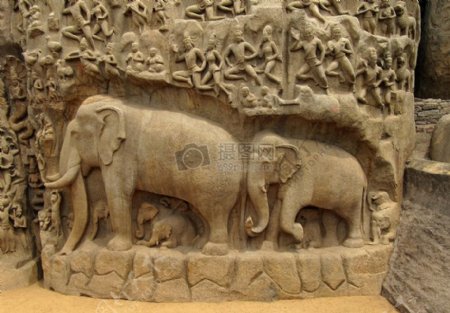 局部特写大象石雕