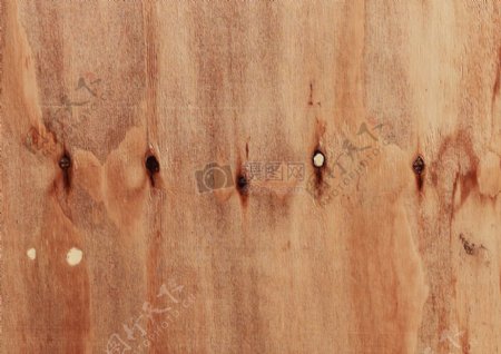 纹理木材的背景