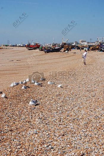 海鸥鹅卵石渔船船海洋海海滩天空沙海岸沿海