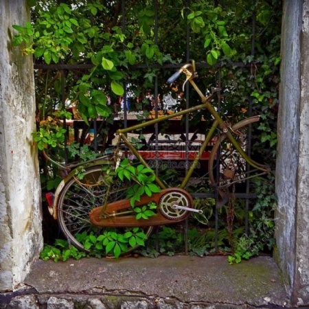 陈旧的自行车