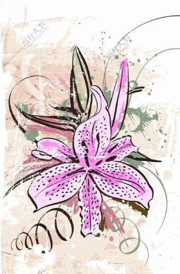 植物花瓣花卉素材图案背景