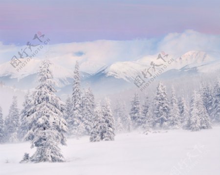 冬天雪景背景素材