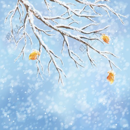 冬天里的树枝插画