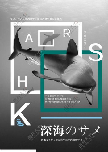 深海鲨鱼海报