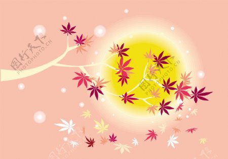 粉色浪漫日系枫叶茶插画