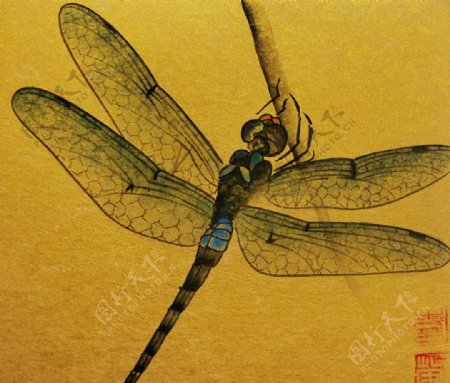工笔画蜻蜓
