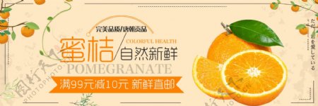 橙色清新秋季水果橘子蜜桔电商banner