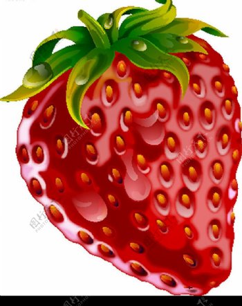 手繪草莓