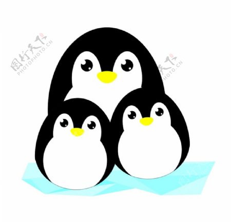 三只企鹅