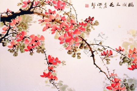 鹏城之花背景墙素材