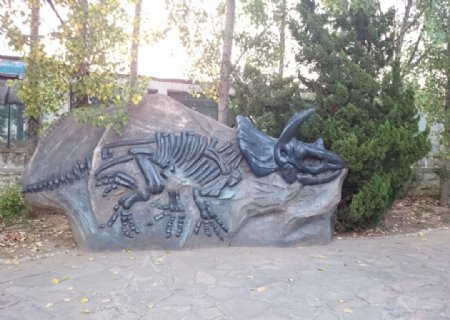 恐龙骨