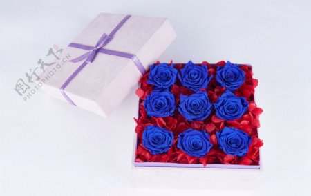玫瑰鲜花礼盒