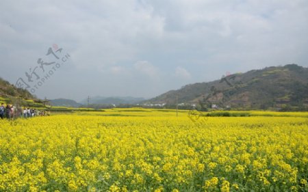 石潭村风光