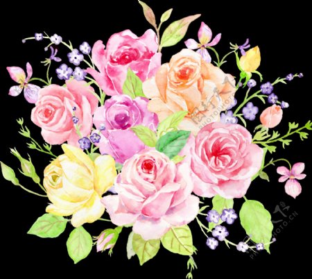 手绘水彩玫瑰花png透明素材