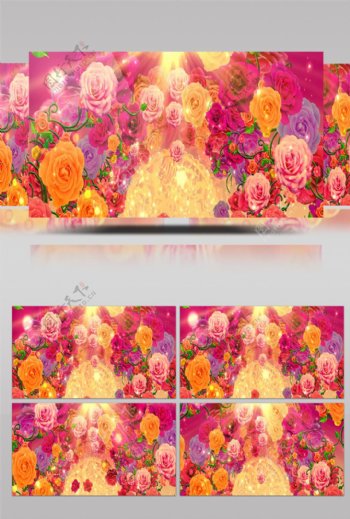 彩色玫瑰花朵视频素材