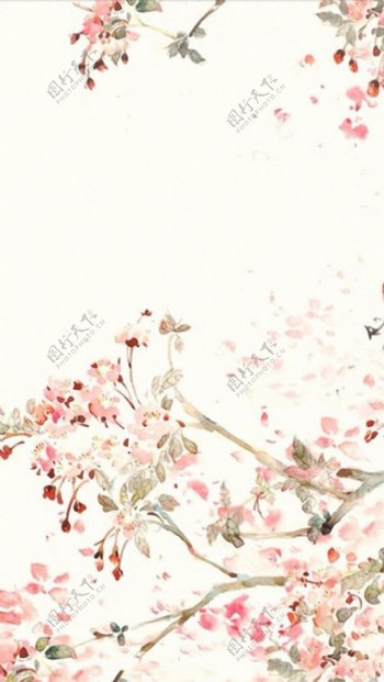 手绘工笔粉色花朵H5背景素材