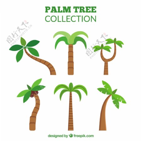 平面设计中的棕榈树收藏