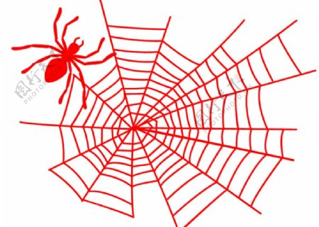 蜘蛛及蜘蛛网笔刷