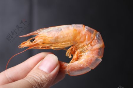 虾干虾米金钩海捕水产
