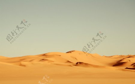 沙漠大漠