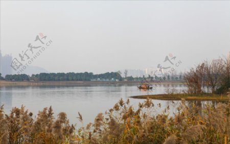 洋湖湿地