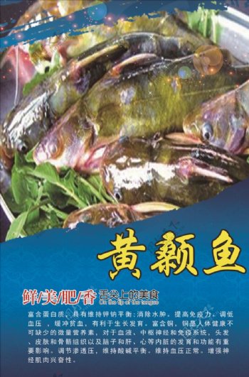 黄颡鱼营养及价值