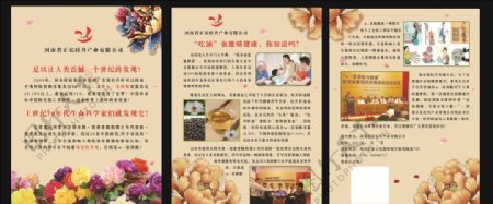 河南省正弘牡丹产业有限公司宣传