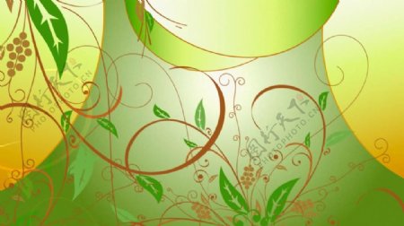 清新绿色背景花纹装饰动态视频素材