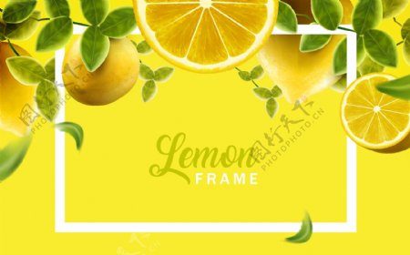 新鲜创意柠檬背景