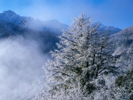 林海雪山