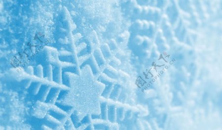 雪花花纹花瓣