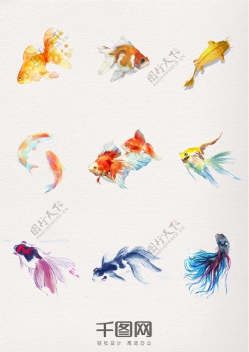 一组水彩动物金鱼设计素材