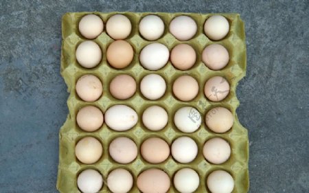 高质量鸡蛋