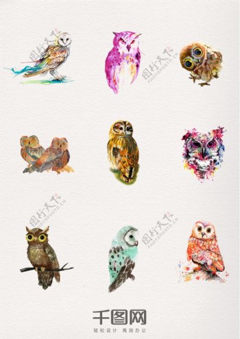 一组水彩动物猫头鹰设计素材