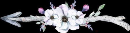 白色花朵箭头水彩手绘透明素材