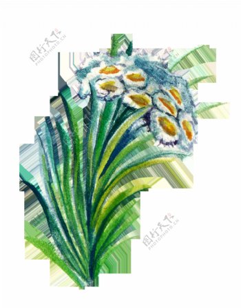 手绘植物卡通透明水彩素材4